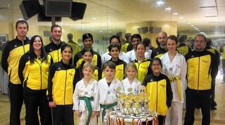 <p>Beeindruckende Sammlung: Der Taekwondo-Verein Bergstraße war 2015 bei Turnieren und Wettkämpfen erfolgreich.</p>