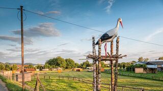 <p>Beim Hessentag wird ein buntes Programm für die ganze Familie geboten - dazu gehören auch die Sonderausstellung "Der Natur auf der Spur", die Angebote der Kinder-, Bildungs- und Familienmeile sowie des Kinderlandes.</p>