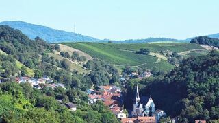 <p>Absolute Tal-Lage: Heppenheims Stadtteil Hambach ist von Weinbergen und Wäldern umgeben.</p>