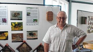 <p>Eine kleine Waldhummel versorgt ihren Nachwuchs in einem Wildbienen-Hotel. Solche würde der Einhäuser Naturschützer Klaus Schumacher gerne häufiger in privaten Gärten sehen.</p>