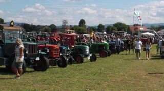 <p>Über 100 liebevoll restaurierte und gepflegte Landmaschinen-Oldtimer konnten am Wochenende in Einhausen bestaunt werden.</p>