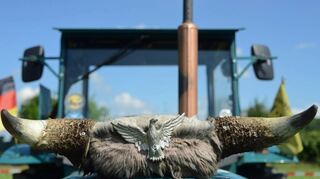 <p>Auf Hochglanz poliert und auf vielfältige Weise ausstaffiert präsentierten sich die Traktoren in Einhausen.</p>