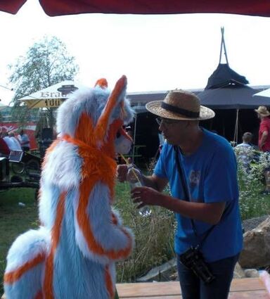 <p>Der Schlepperfreunde-Fuchs stillt seinen Durst.</p>