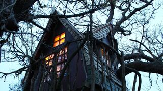 Schaurig-schön: In einem mittelgroßen Baum auf zwei Metern Höhe hängt das „Jack Sparrow Tree House“, das an Übernachtungsgäste vermietet wird.