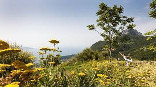 Italy; Lago di Garda; Lefay Resort and Spa; Via Feltrinelli 118; 25084 Gargnano. www.lefayresorts.com, Therapeutic Gardens