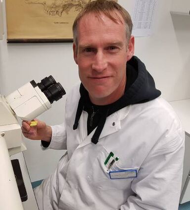 Ingo Schwabe ist Tierpathologe. Seine Befunde schaffen Klarheit.