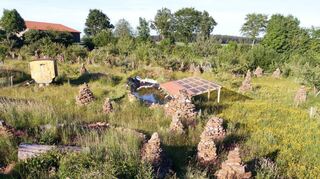 Monatelang hat Markus Gastl Ziegel oder Kalksteine zertrümmert und aufgeschichtet, um in seinem Garten Unterschlüpfe zu schaffen.