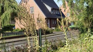 Mitten in einer Wohnsiedlung mit gestutzten Hecken und Geranien aus dem Baumarkt liegt der kleine wilde Garten von Jürgen Schneiders.