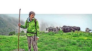 Alle wetterfest? Almauftrieb mit Bergsteigerlegende und Yak-Herde