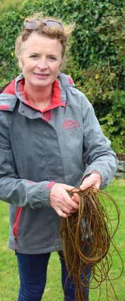 Oonagh O’Dwyer zeigt Meeresspaghetti, die sie gesammelt hat.