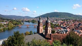 Postkartenmotiv in Miltenberg: die Stadt von der Mildenburg aus gesehen.