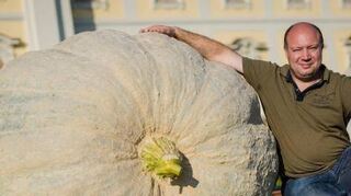 Matthias Würsching aus Einhausen mit seinem Kürbis.