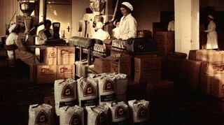 Zuckerfabrik Waghäusel Ende der 1950er Jahre: Das Foto zeigt Mitarbeiterinnen an den Paketieranlagen.