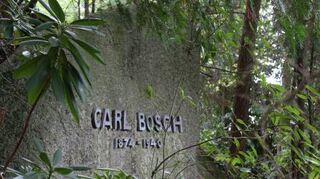 Das Grab des Chemie-Nobelpreisträgers Carl Bosch liegt sehr weit oben.