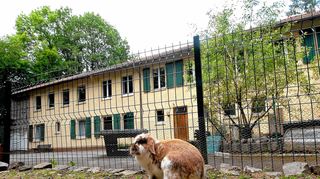 <p>Dem Albert-Schweitzer-Haus in Lindenfels droht das Aus. Die Stadt Darmstadt will ihre Freizeiten künftig an freie Träger vergeben.</p>