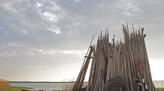 Wie gemalt warten Fischerboot und Reusenbohlen am Ufer des Peenestroms.