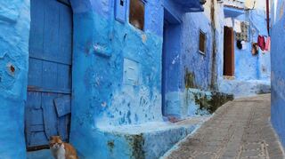 Schutz vor dem bösen Blick, Abwehr von Mücken oder die Vorliebe eingewanderter Juden? Es gibt viele Theorien dazu, warum Chefchaouens Altstadt blau ist.
