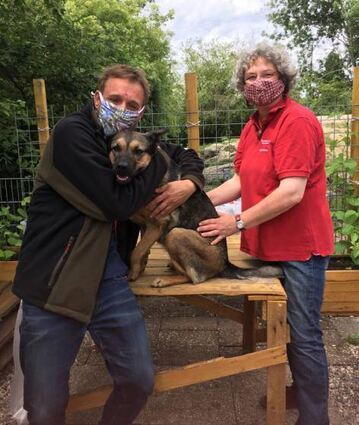 Das Soziale Tiernetz versorgte Hunde von Wohnsitzlosen.