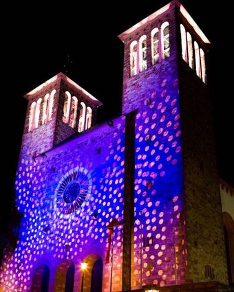 Kein Vogel der Nacht (Bild oben), kein Musikfestival Maiway (links unten) und keine Konzerte im Musiktheater Rex: Das kulturelle Leben in Bensheim steht nach wie vor still – und die Veranstalter kämpfen um ihre Existenz.