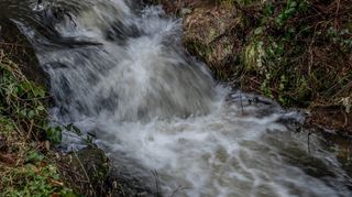 Die Lauter, hier bei Gadernheim: Bei Starkregen soll sie das Oberflächenwasser aus den geplanten Lautertaler Baugebieten aufnehmen.