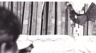 Das Vogelschießen erfreute sich in den ersten Jahren der Sportschützen Lindenfels großer Beliebtheit.