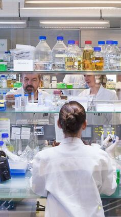 In ihren Laboratorien entwickelt die Brain AG unter anderem auch neue pflanzenbasierte Süßstoffe.