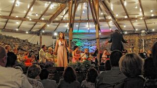 <p>Mit klassischer Oper und der "Italienischen Nacht" begeistern die Lindenfelser alljährlich in den Sommermonaten zahlreiche Gäste. Im vergangenen Jahr lauschten Klassikfreunde der Mezzosopranistin Anna Toneeva.</p>