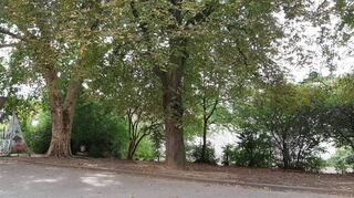Der Entwurf des Bebauungsplans Pass, Wiesenstraße und Melibokusstraße weist Schulhof und Spielplatz zwischen Passschule und Melibokushalle als künftigen Altstadtparkplatz aus – also dann, wenn das Areal durch die geplante Schulerweiterung nicht mehr für schulische Zwecke genutzt wird. Die GUD will Hof und Spielplatz aber erhalten.