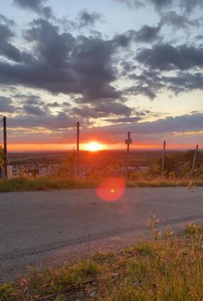 Ein Spaziergang durch die Weinberge lohnt sich besonders am Abend.