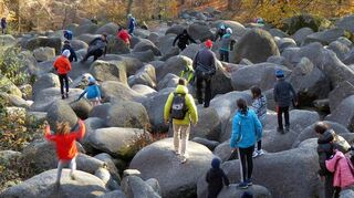 Die zahlreichen Besucher am Felsenmeer sind eine Belastung für die Natur. Deswegen soll der Wald am Felsberg besser geschützt werden, fordert der Nabu Seeheim-Jugenheim.