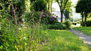 Das Siegerprojekt des Lindenfelser Umweltpreises: Einst war hier ein Lagerplatz für Erdaushub, Familie Schnellbächer schuf dort eine Blühwiese.