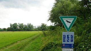 Mit der Ausweisung spezieller Wege will das Forstamt Lampertheim den Besucherandrang in den Tongruben bei Heppenheim in den Griff bekommen.