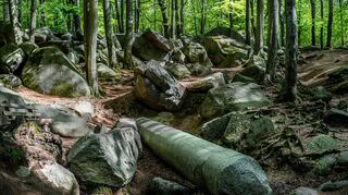 Auch im Wald rund um das Felsenmeer kommt es immer wieder zu Diskussionen zwischen Wanderern und rasanten Mountainbikern.