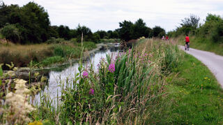 Zum Themendienst-Bericht von Mareike Graepel vom 2. August 2021: Immer am Wasser entlang: Der Royal Canal zeigt sich in der Nähe von Enfield mit dicht bewachsenem Ufer. Foto: Mareike Graepel/dpa-tmn - Honorarfrei nur für Bezieher des dpa-Themendienstes +++ dpa-Themendienst +++