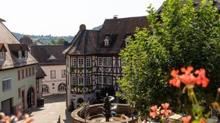 Fachwerk und Brunnen an der Hauptstraße von Neckarsteinach.