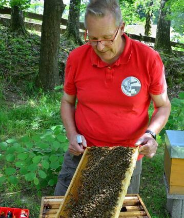 Imker Peter Hornung gibt Einblick in das Leben der Bienen.
