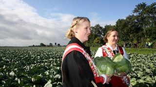 In Anlehnung an die ehemalige Bauernrepublik Dithmarschen halten Regentinnen und nicht Königinnen den Kohl in der Hand.