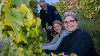 Caroline Guthier (M.), Gebietsweinkönigin 2014/2015 und Botschafterin der Bergstraße, wurde bei der Weinlese in dieser Woche von Landrat Christian Engelhardt und der amtierenden Weinhoheit Stefanie Kippenhan unterstützt.