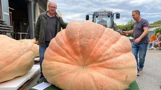 Matthias Würsching (l.) mit seinem 718 Kilogramm schweren Einhäuser Riesenkürbis bei der Deutschen Meisterschaft 2021 in Ludwigsburg.