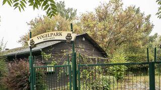 Sämtliche Bestandsgebäude des früheren Vogelparks sollen noch in diesem Jahr abgerissen werden. Nach einer Begehung des Geländes stand fest: Sie sind nicht mehr zu retten.