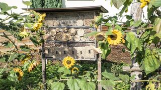 Auf der Bienenweide an der Ecke Erbacher Tal/Ludwigstraße hat der Bauhof das erste städtische Insektenhotel errichtet.