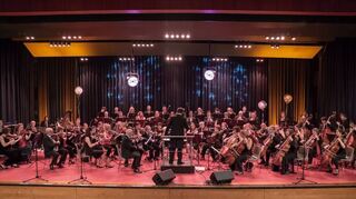 Die Starkenburg-Philharmoniker geben am 31. Oktober ein Konzert im Viernheimer Bürgerhaus.