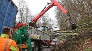 Mit umfangreichen Baumpflegearbeiten – wie hier an einer Böschung zwischen den Wald-Michelbacher Ortsteilen Aschbach und Affolterbach – will Hessen Mobil die Verkehrssicherheit im Kreis Bergstraße erhöhen.