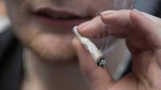 Soll der Cannabis-Konsum legalisiert werden – und wenn ja, unter welchen Bedingungen? Nachdem die nächste Bundesregierung wahrscheinlich von einer Ampelkoalition getragen wird, ist diese Frage ganz aktuell.