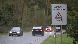 Die L 3111 zwischen Viernheim, Hüttenfeld und Groß-Rohrheim gehört seit Jahren zu den Schwerpunkten bei Wildunfällen in der Region.