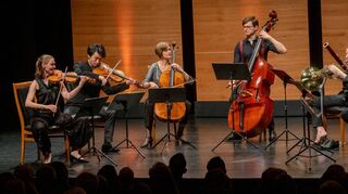 Sieben Kammermusik-Virtuosen spielten am Samstag im Parktheater das berühmte Septett Es-Dur von Beethoven.