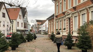 Unabhängig vom Weihnachtsmarkt wird es am Stadthaus auch wieder eine Christbaum-Allee geben. Gestern wurden die ersten Bäume aufgestellt, die nun von verschiedenen Vereinen originell geschmückt werden.