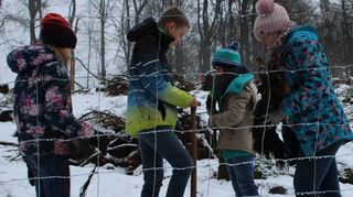 Viele Kinder und Jugendliche waren bei der Pflanzaktion dabei. Rund einen halben Hektar ist die Fläche groß, auf der rund 2000 Setzlinge in den Boden gebracht wurden.
