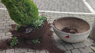 Unter anderem vor dem Reichenbacher Rathaus wurden zum Jahreswechsel Blumenkübel umgeworfen.