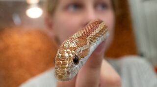 Mit dem Schulvivarium hat die Liebfrauenschule bereits ein Alleinstellungsmerkmal in der Bergsträßer Bildungslandschaft. Nun soll ab dem Schuljahr 2022/23 eine MINT-Klasse einen weiteren Schwerpunkt setzen.